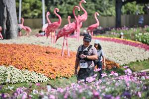 BIB: 
                            <button type="button" onclick="openModal(27793108)" class="btn btn-primary btn-sm float-right btn-popup" data-toggle="modal" data-target=".modal-high-quality">
                        <i class="fas fa-shopping-cart"></i> Add to Cart
                    </button>
                                            <button type="button" onclick="isThisMe(27793108, true)" class="btn btn-success btn-sm float-right btn-popup btn-isme hidden" data-toggle="tooltip" data-placement="bottom" title="นี่คือรูปของคุณใช่ไหม คลิกที่นี่เพื่อเอาเข้าอัลบั้ม">
                        <i class="fas fa-plus"></i> Add to album
                    </button>
                    <button type="button" onclick="isThisMe(27793108, false)" class="btn btn-warning btn-sm float-right btn-popup btn-isnotme hidden">
                        <i class="fas fa-ban"></i> Remove from album
                    </button>